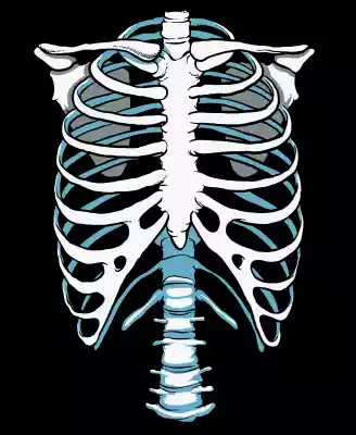 vectores plantilas DÍA DE MUERTOS,VECTOR,